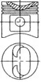 WILMINK GROUP wg1175558 -